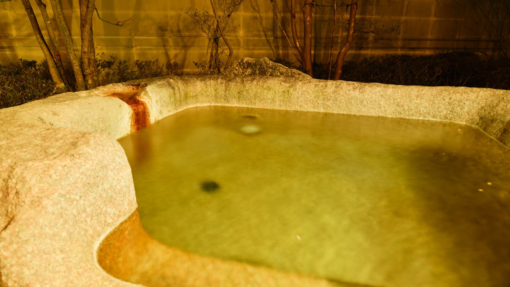 *【1階温泉露天風呂付き特別室鳳れん】岩風呂付きの特別室でぜいたくな時間を。