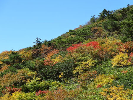 地蔵岳の紅葉