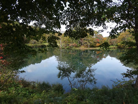 どっこ沼の紅葉