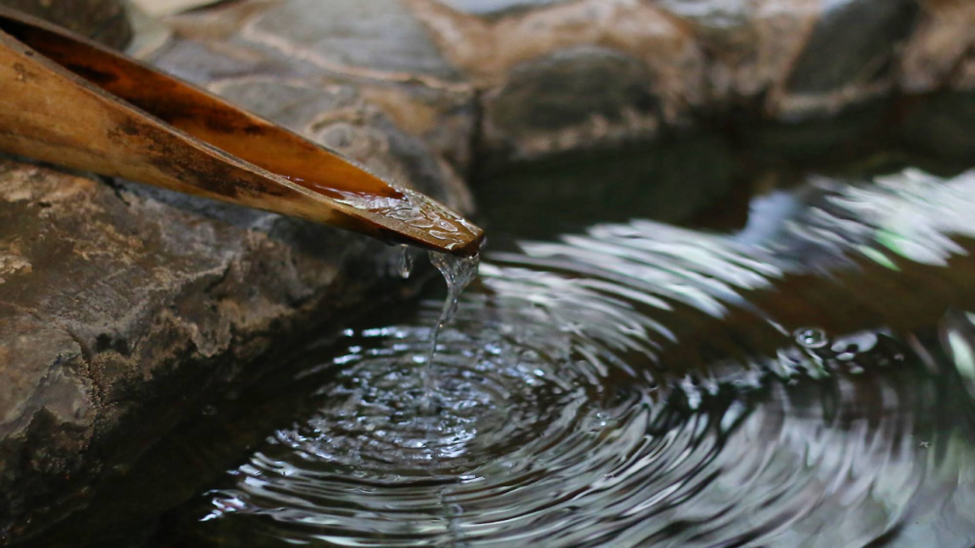 Toshijima Onsen Kutsurogi no Yado Misaki Image 4, Toba, Japan