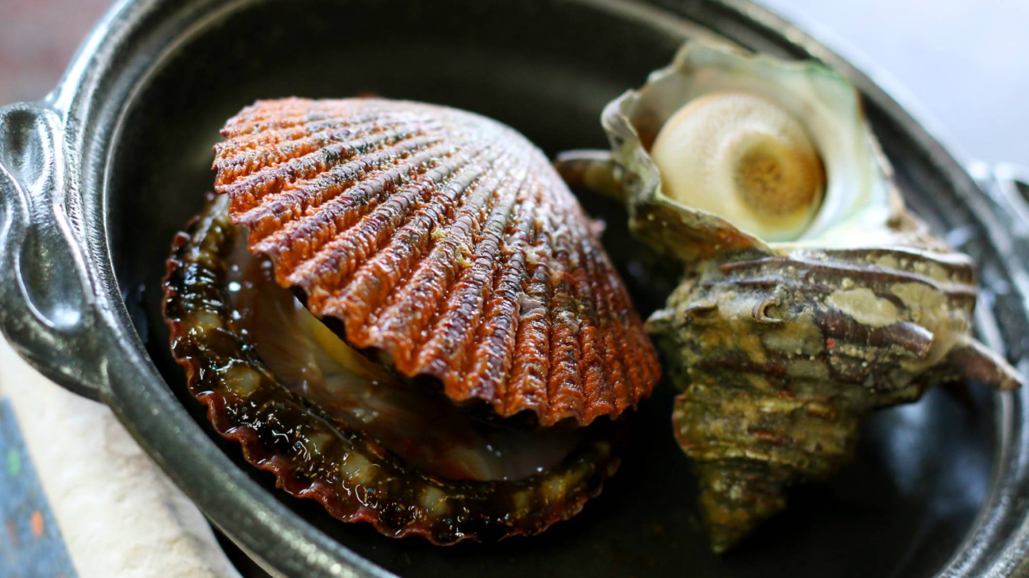 ・【お料理イメージ】仕入れによって種類の異なる貝類