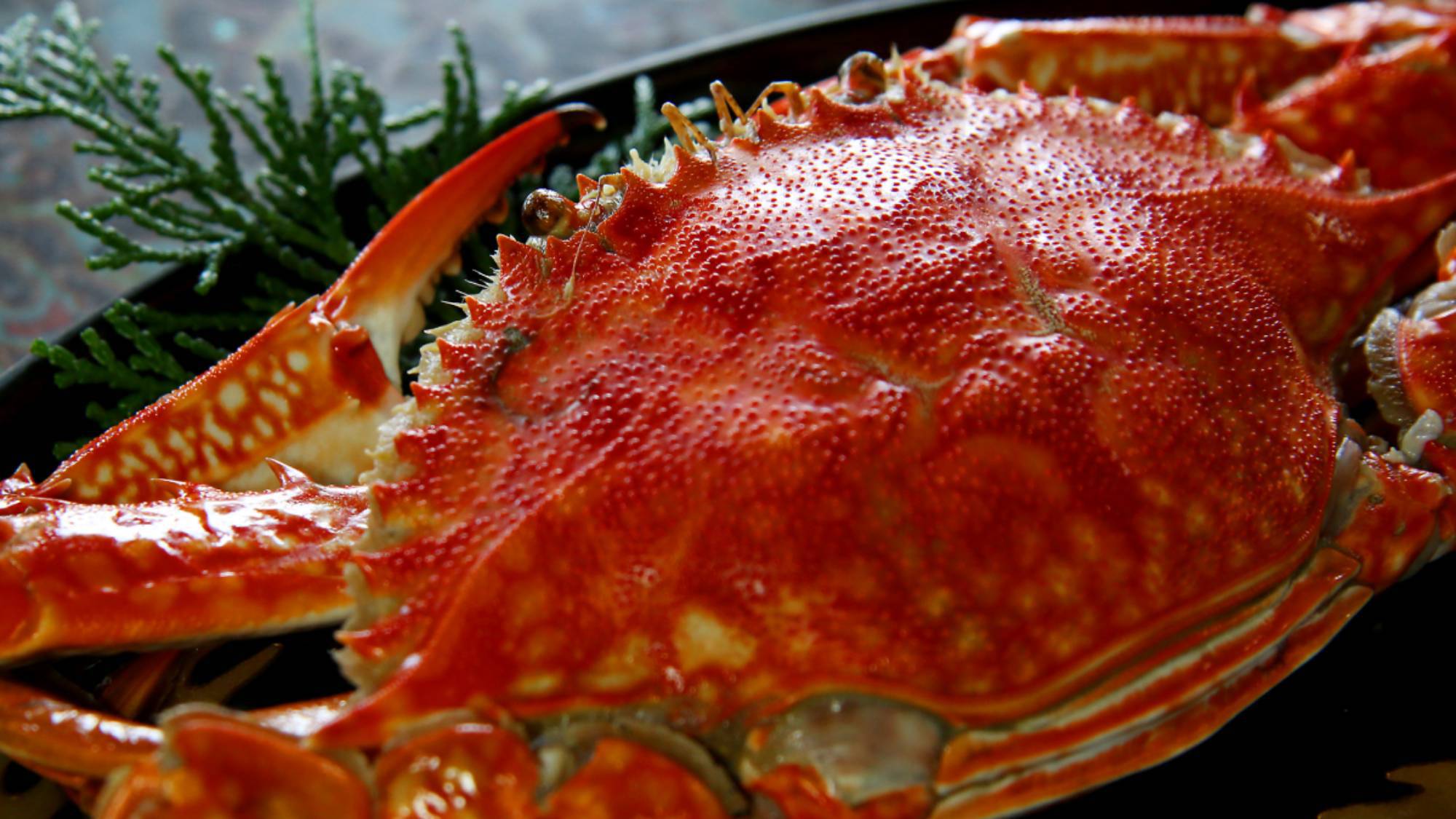 ・【お料理イメージ】鮮度の高い蟹