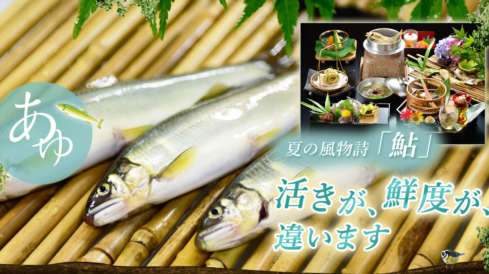 夏の名物料理「鮎」コース！期間限定7/31まで。新鮮な鮎の塩焼やお造り、釜飯など、夏の恵みを存分に