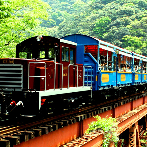 ＜夏・ロッコ列車＞かわいい！！トロッコ列車♪♪出発進行！！ガタン、ゴトン。のどかな風景に癒されるわ。