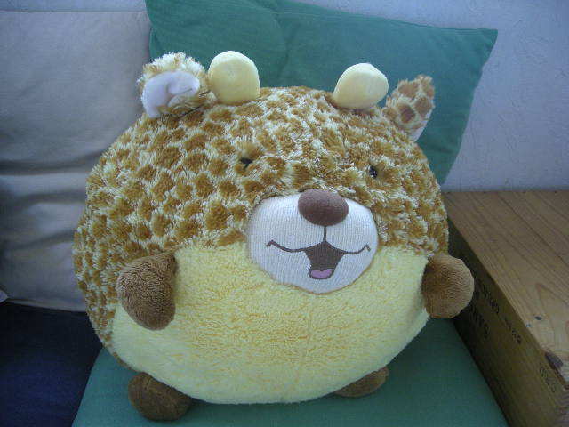 プレールームの仲間1