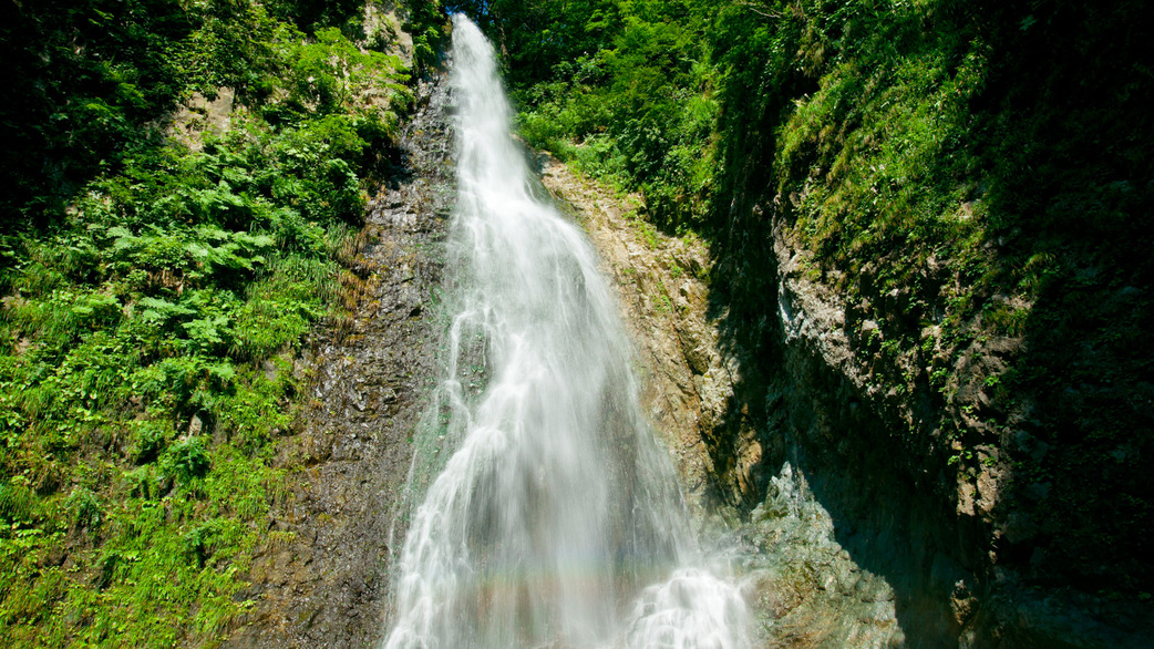 *暗門の滝／散策コースで一番人気。世界遺産のブナ林を抜けて辿り着く癒しの風景です！