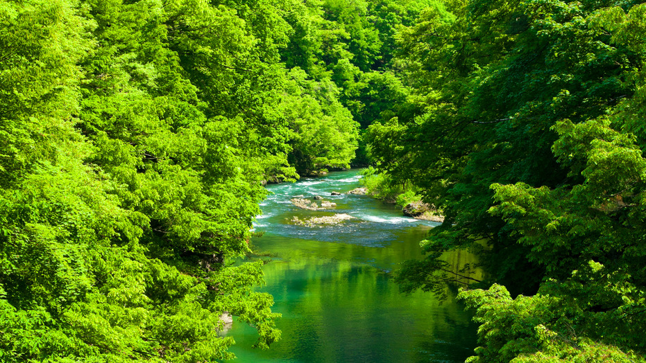 *春の白神山地／目屋渓とよばれる渓谷は、津軽十景に選ばれた県内屈指の名勝。