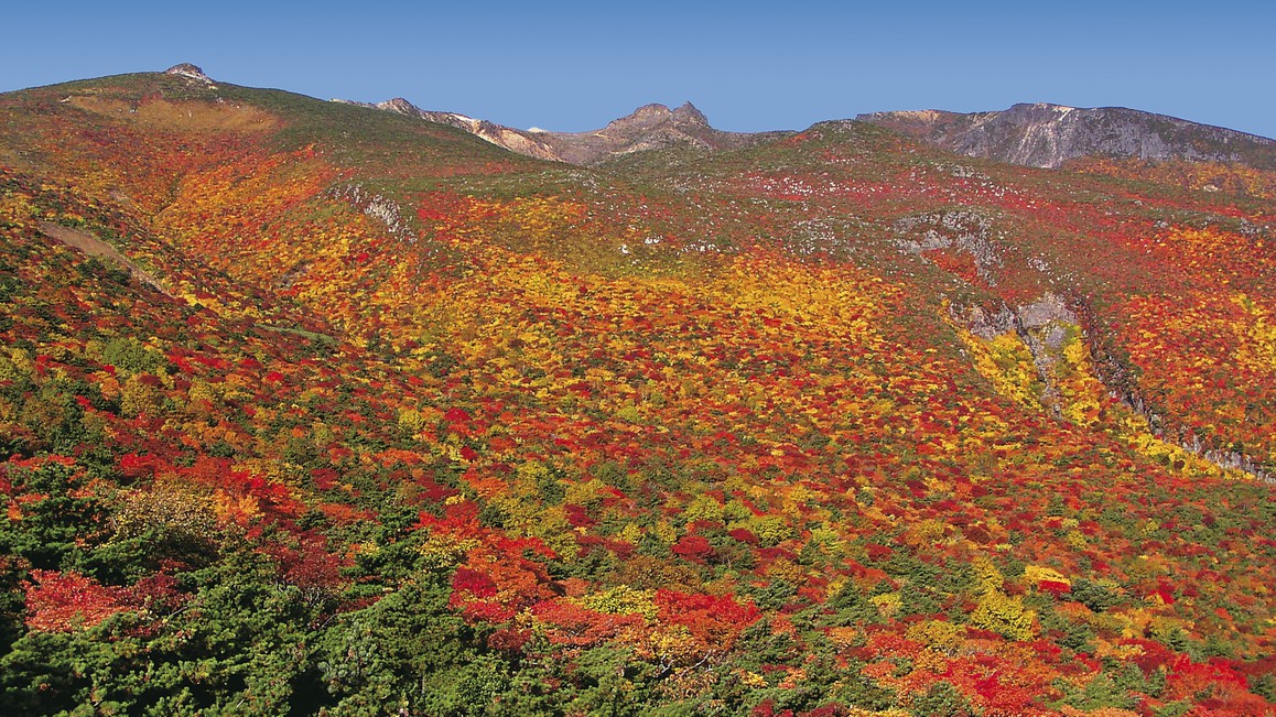 安達太良山の紅葉