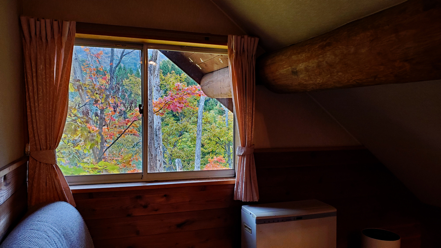 202号室2階客室からの紅葉の景色