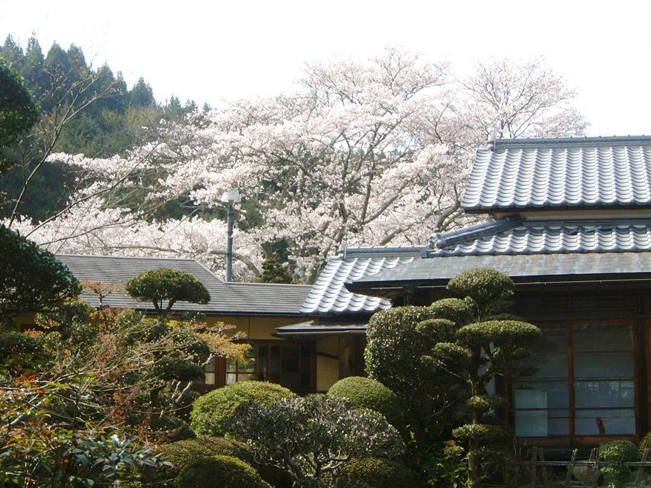 Onsen Ryokan Shionoyu Onsen