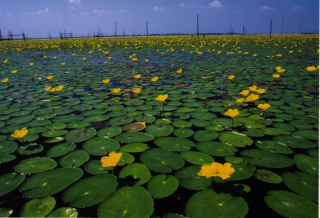 Hotel Shibata Image 3, Itako, Japan