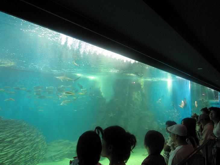 越前松島水族館