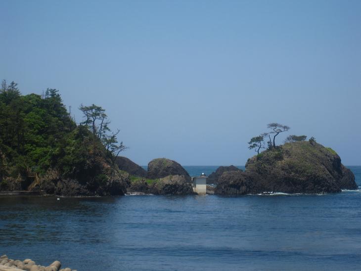 国定公園の越前松島（宿から歩いて５分）