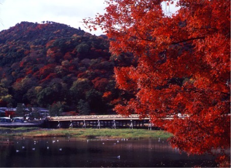 紅葉と渡月橋。