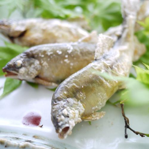 鮎の藻塩焼き