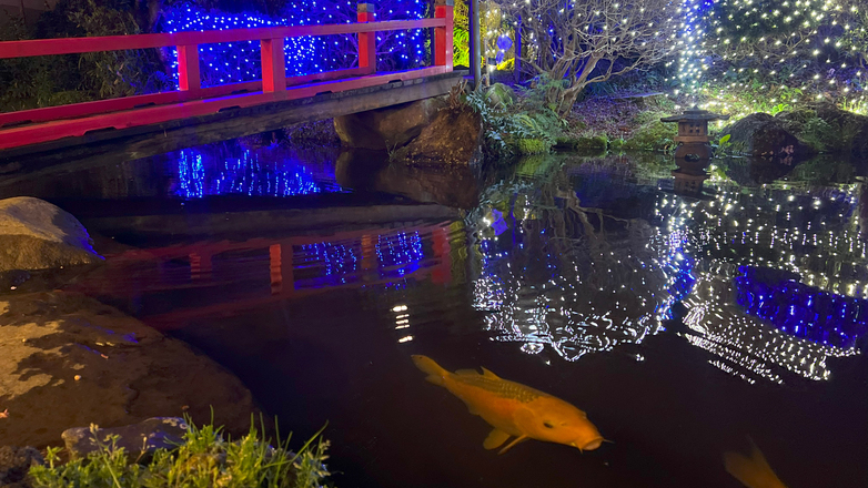 【四千坪の庭園】池とイルミネーション