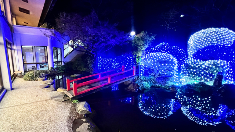 【四千坪の庭園】池とイルミネーション
