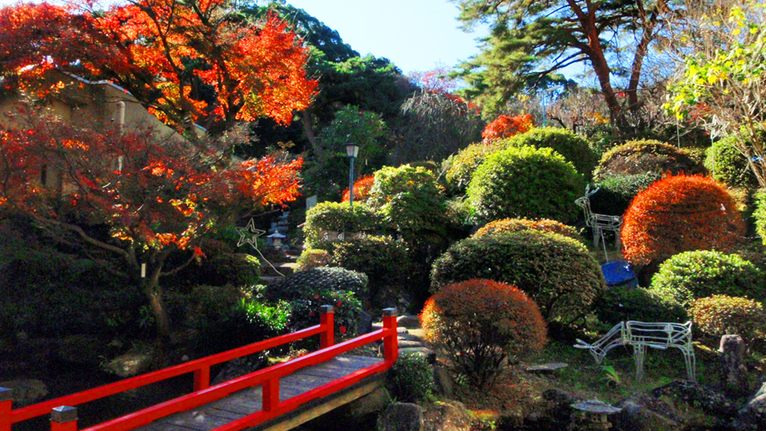 【四千坪の庭園】秋12月