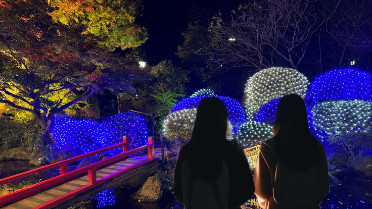 幻想的な輝き、庭園イルミネーション（冬季限定）
