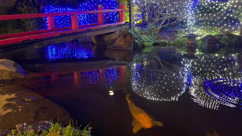 【四千坪の庭園】池とイルミネーション
