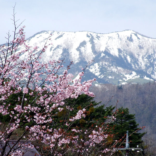 本白根山と桜