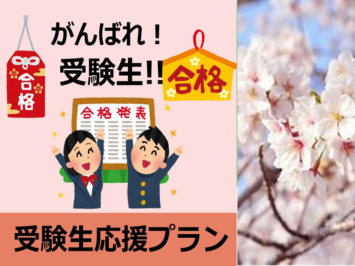 受験生応援プラン