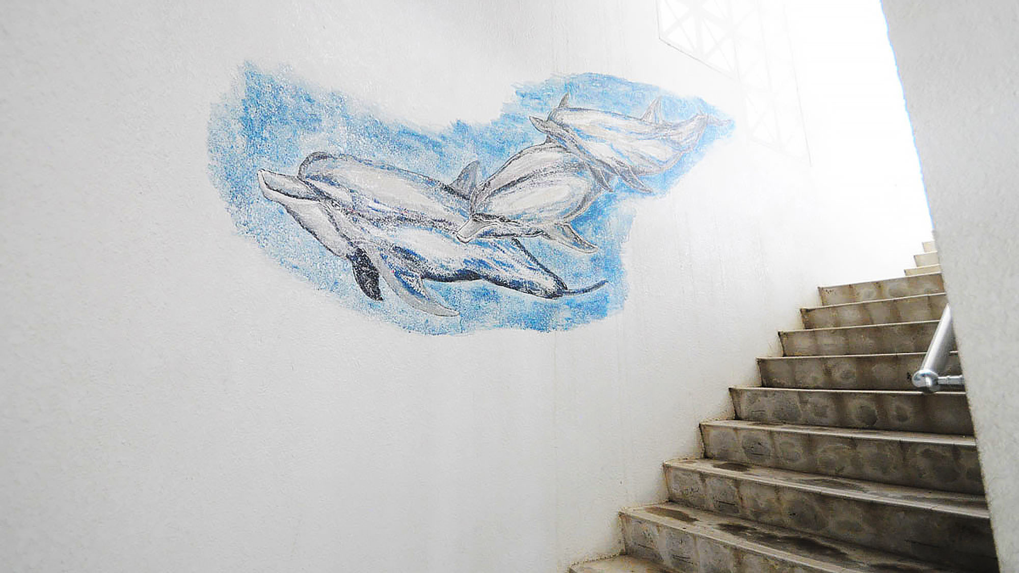【館内】イルカの自作壁画です。海の雰囲気を館内のいたるところで感じることができます♪