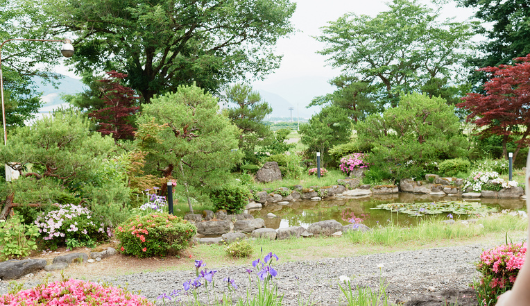 【日本庭園を眺める純和風客室】