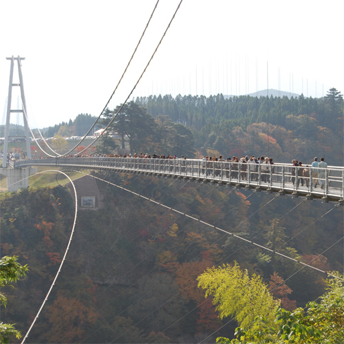 夢の大つり橋