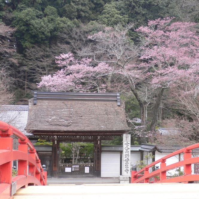 室生寺