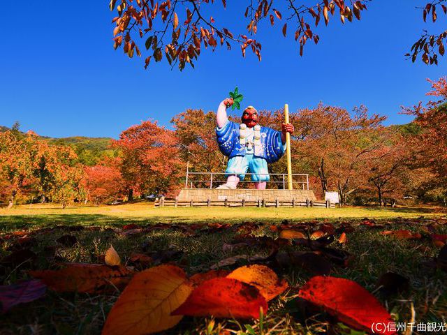【キティパーク】紅葉の見頃は10月下旬(上田館からお車で15分)