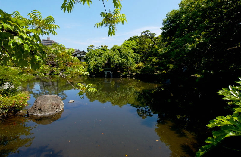 三島市の佐野美術館はこんなステキな池のあるお庭があります。