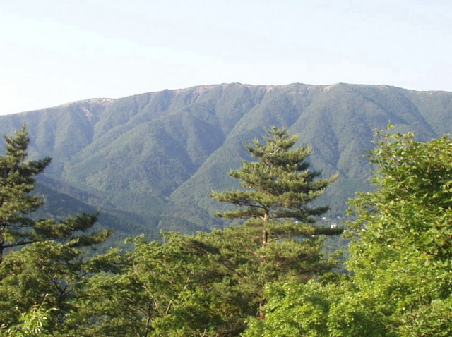 明神ヶ岳は金時山から続いて連なっています。