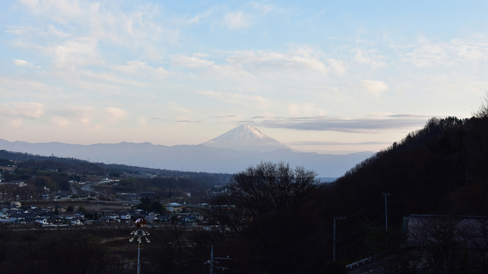 富士山側客室からの景色