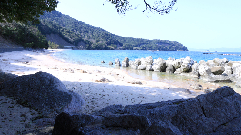 夏はやっぱり海水浴！