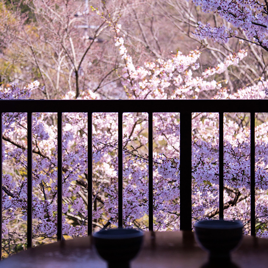 【客室からの眺め】ほっとひと息つきながら、榊原の山々と桜を愛でてみるのも
