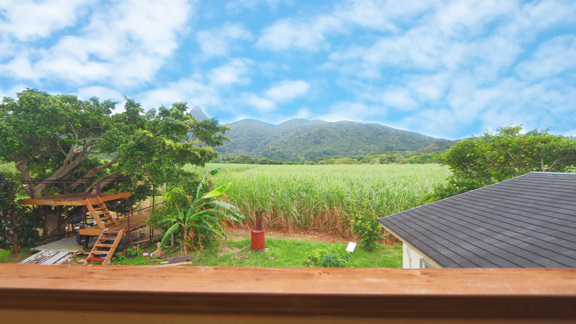 西表石垣国立公園を望める山側客室*