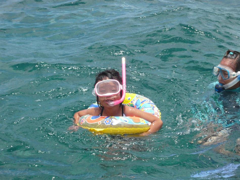 Umisuzume (Ishigakijima) Image 4, Ishigaki, Japan