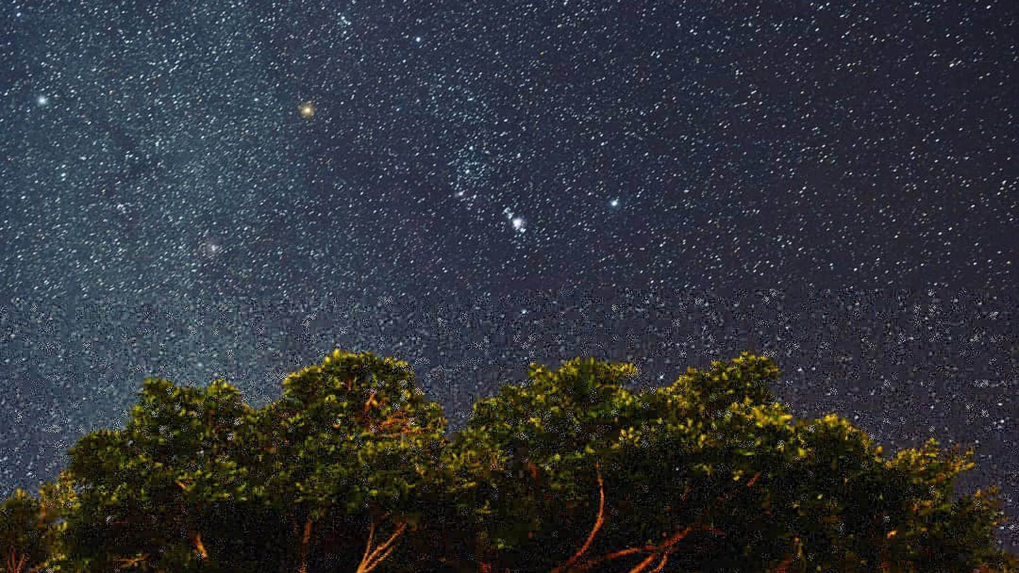 ・沖縄といえばやはりオリオン！ 星が生まれる場所と言われるオリオン座大星雲もよく見えます