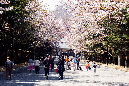 北海道神宮