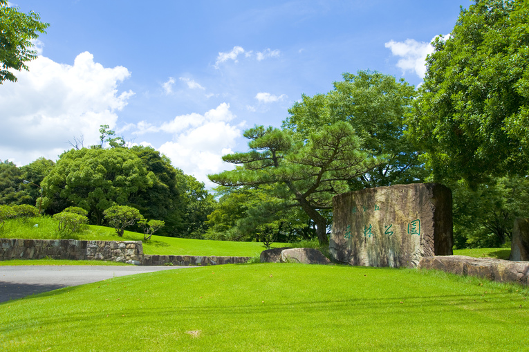 芝生と樹の森林公園