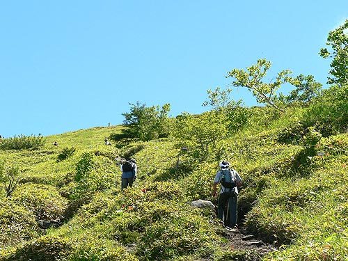 根子岳・四阿山の百名山登山「山頂直下」