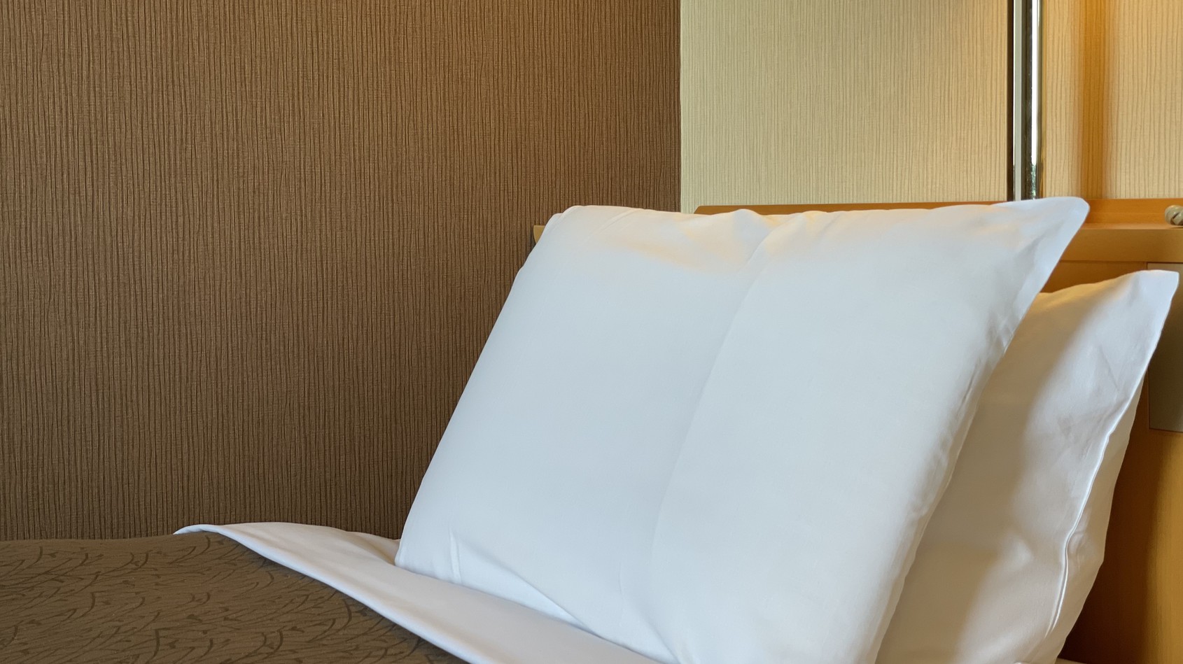 【全室完備】低反発枕とパイプと羽根のリバーシブル枕（イメージ）