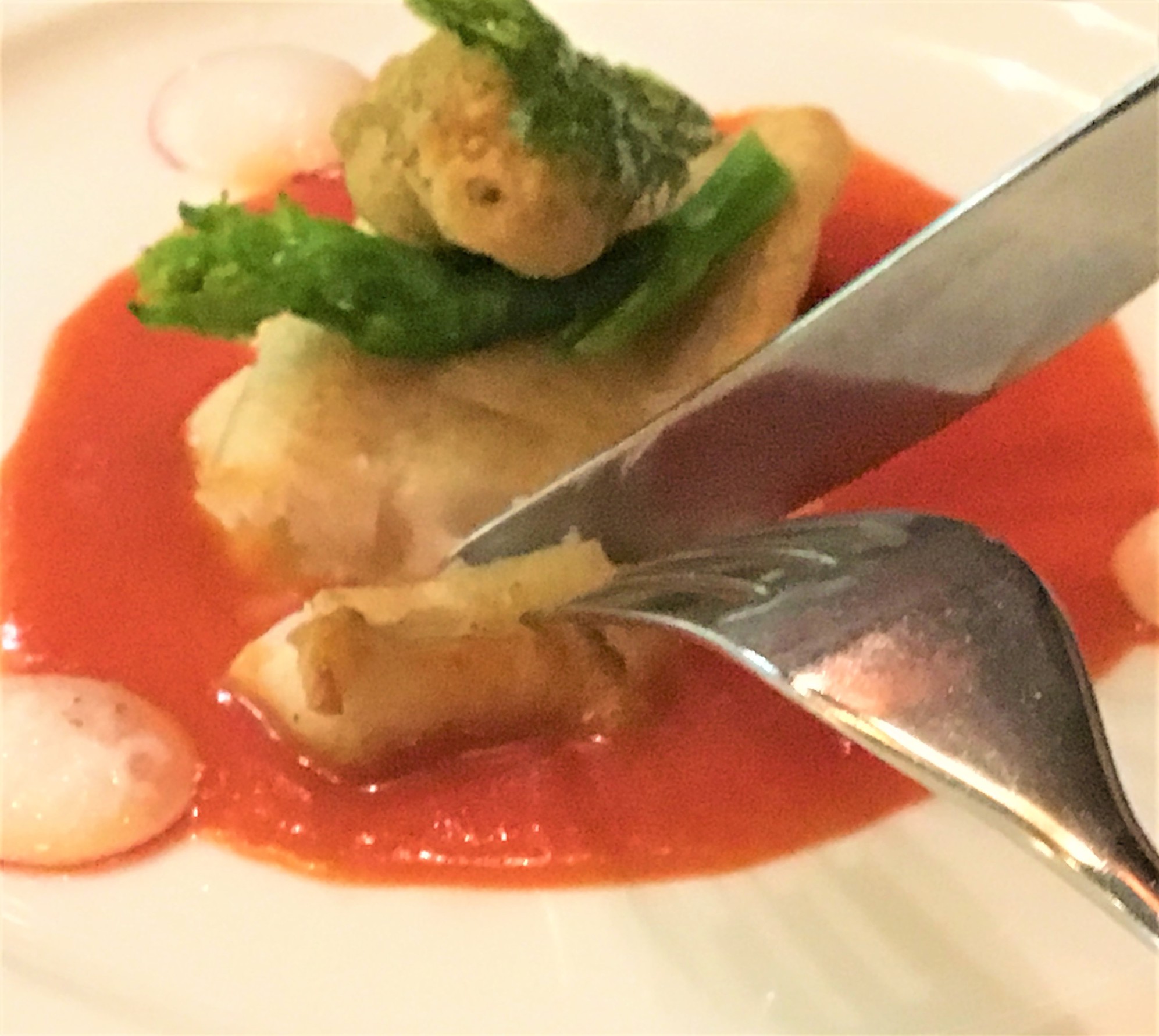 本日の魚料理的鯛のポワレ自家製トマトノソースで