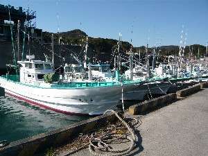 弓ヶ浜漁港の風景ここから活きのいい魚が水揚げされます