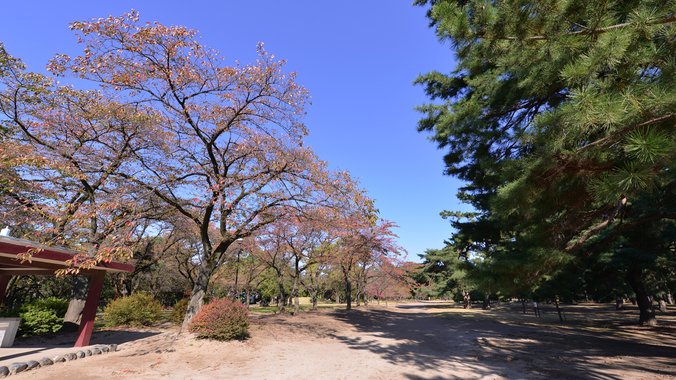 *敷島公園/利根川と広瀬川に挟まれた広大な面積を有する公園。晴れた日の散策に