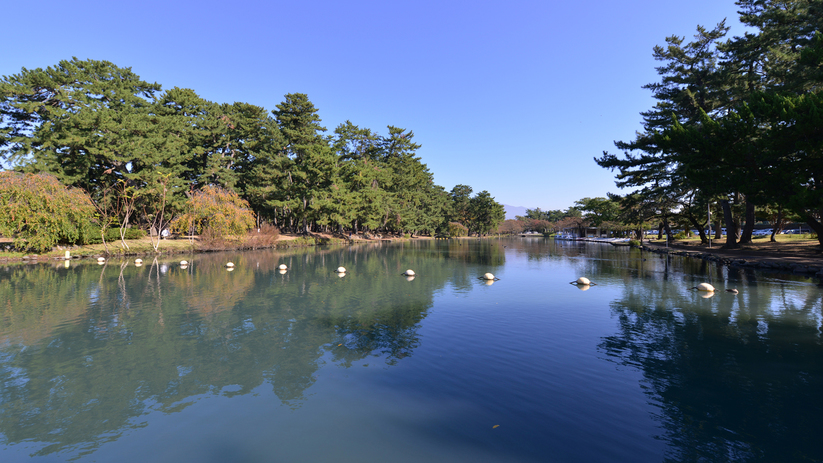 *敷島公園/園内にある“;ボート池”;ではスワンボートも楽しめます。カップルやファミリーにおすすめ！