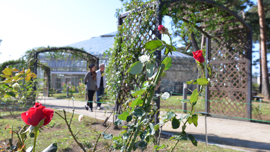 *敷島公園/600種7，000本のバラや四季を彩る花木をご覧いただける“;バラ園”;。毎年春と秋に“;バラ