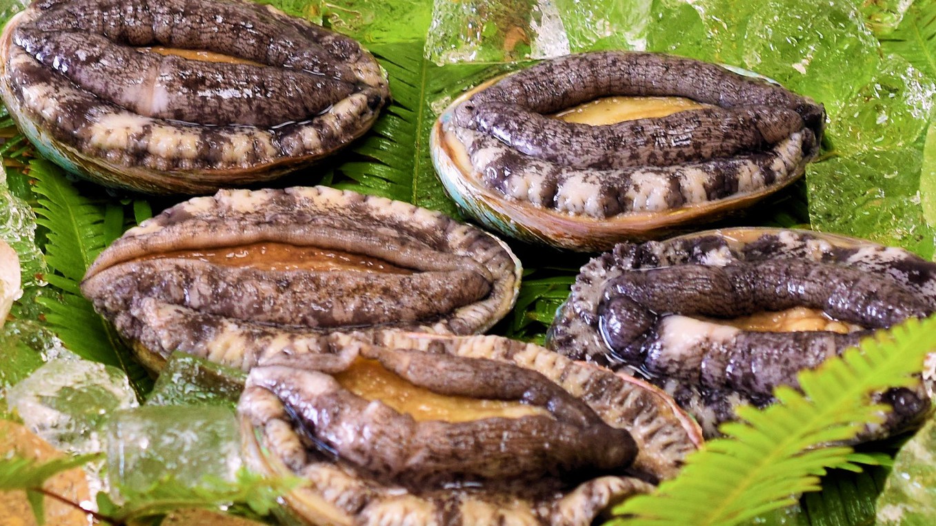 Kumihama Onsenkyo Minshuku Sakamotoya Image 4, Kyotango, Japan