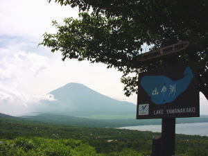 自然に囲まれて−三国峠からの富士山